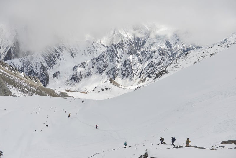 Wilderness Expeditions