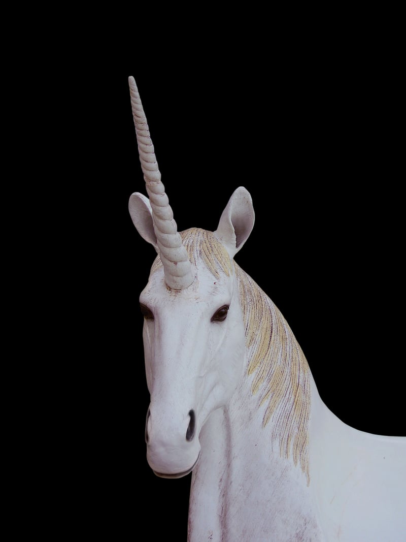 Mystery Image